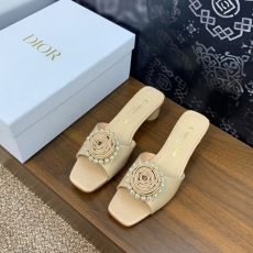 Christian Dior Slippers